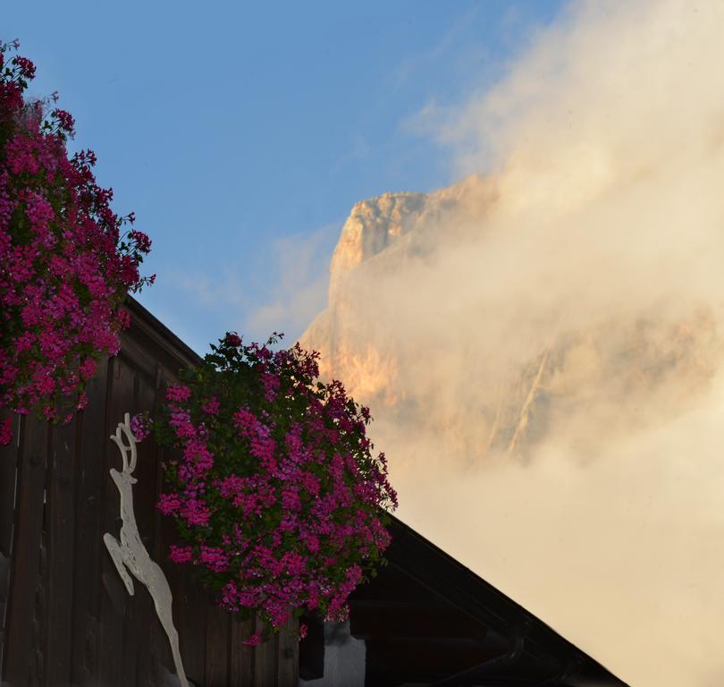 Hotel Margherita San Martino Di Castrozza Dış mekan fotoğraf